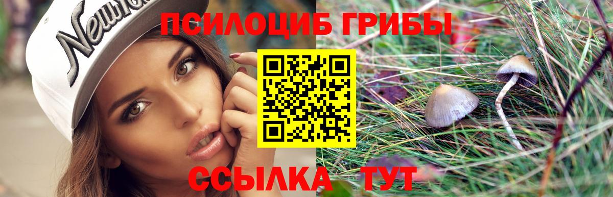 Псилоцибиновые грибы прущие грибы  Вход с VPN  Галлюциногенные грибы MAGIC MUSHROOMS  Щёлково 